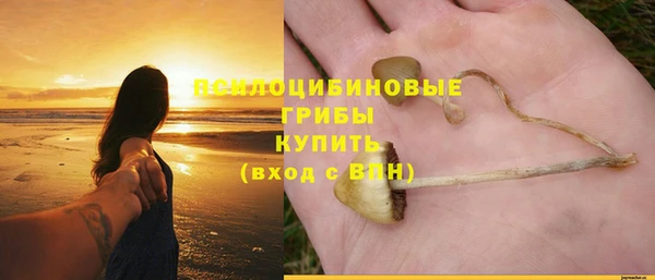 mdma Медвежьегорск