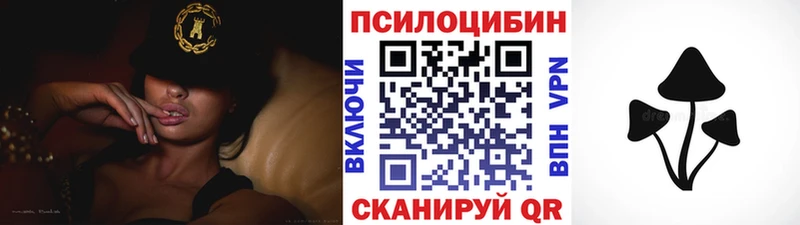 Купить  Курчалой  Псилоцибиновые грибы MAGIC MUSHROOMS 